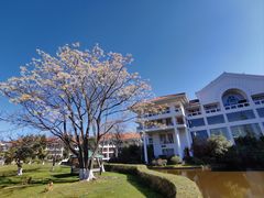 -云南滇池花园国际大酒店温泉