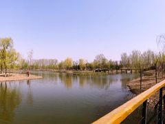 -东郊湿地公园
