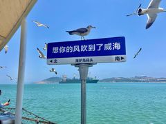 -威海国际海水浴场旅游区