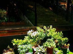 -箱美术馆私房菜(水晶郦城店)