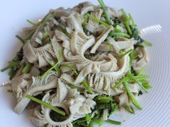 芫爆散丹-砂锅居(西四店)