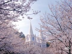 -团城山公园