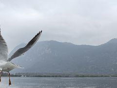 -滇池海埂公园