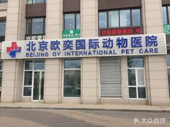 -欧奕国际动物医院