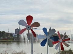 -荷兰花海