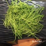 凑凑（coucou）