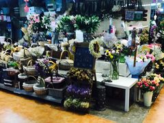 -大自然花鸟鱼虫市场