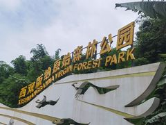 -西双版纳原始森林公园