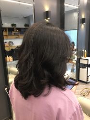 -藤野造型