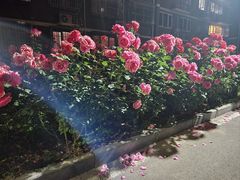 -龙湖星悦荟(颐和店)