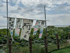 -七的湖·晚芳亭·阳澄湖农家菜·大闸蟹(莲花岛店)