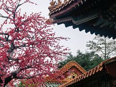 -珠海圆明新园