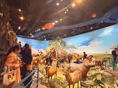 -陕西自然博物馆