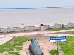 -观潮胜地公园