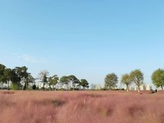 -汉长安城未央宫国家考古遗址公园