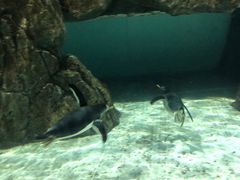 -成都浩海立方海洋公园