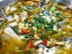 -东吴霸王兔(松青路店)