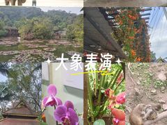 -野象谷景区