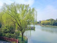 -新江湾城公园
