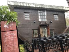 -金山农民画村-枫泾波兰倒置屋