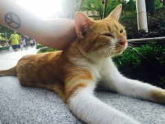 -星巴克(万都店)