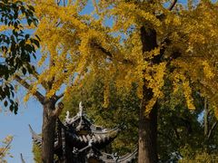 -西园戒幢律寺