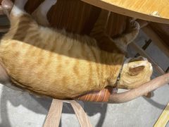 -渔太泰漓江小馆·广西融合菜(西街店)