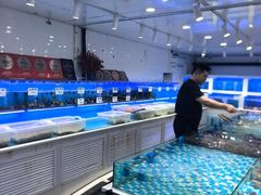 -小海丁
