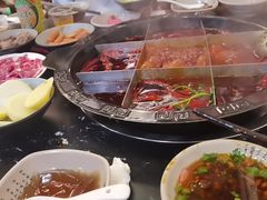 -重庆川渝肥妹火锅