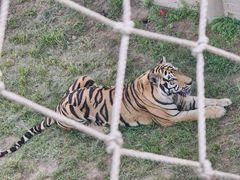 -西霞口神雕山野生动物世界