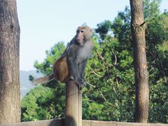 -重庆雨台山风景区