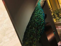 -俏江南天津时尚曲艺主题餐厅(马场道店)