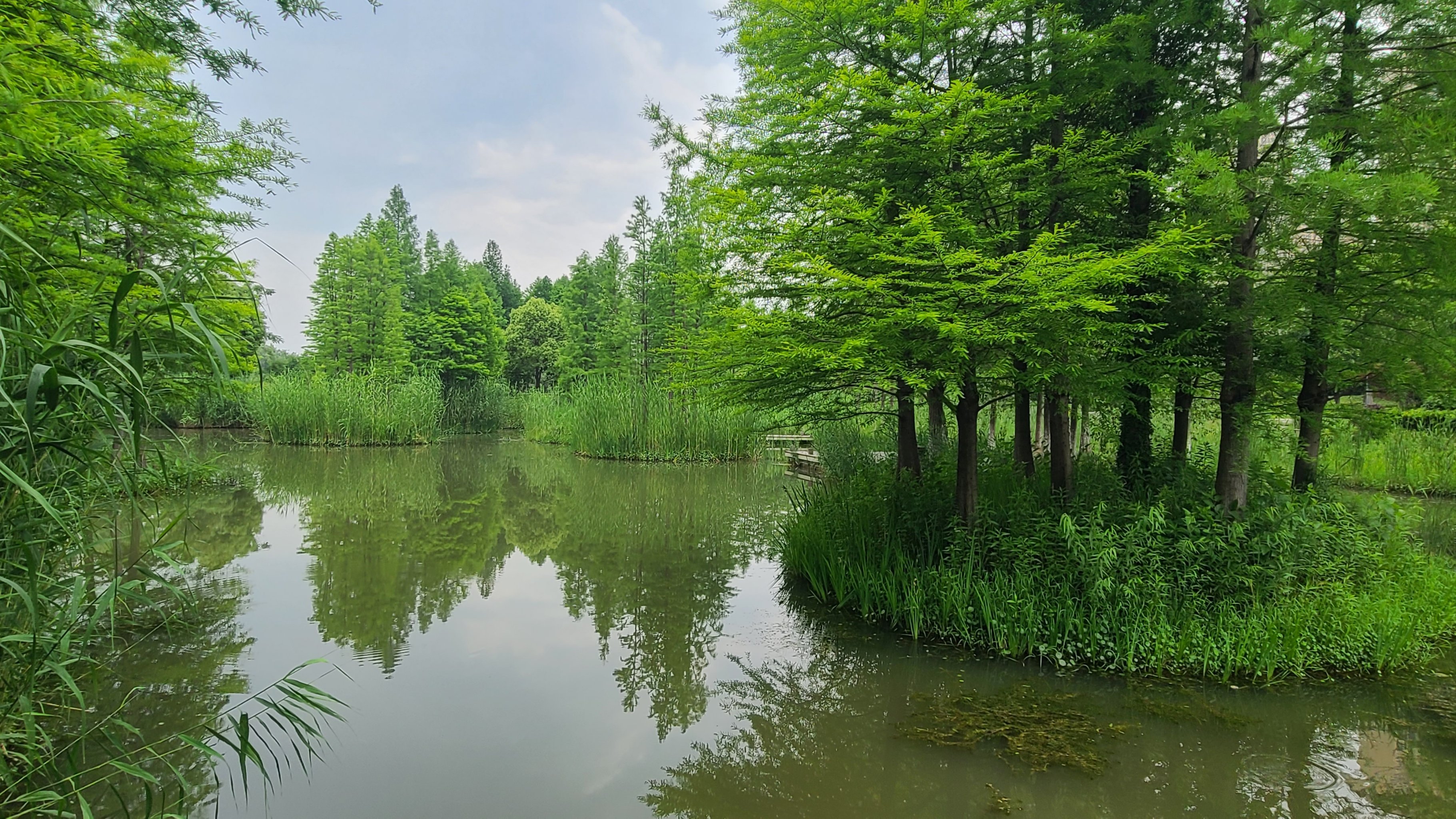 常州丁塘河湿地公园图片