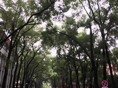 -四川大学(望江校区)