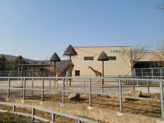 -上方山森林动物世界