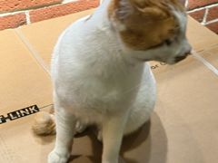 -少林功夫文化中心·独门独院