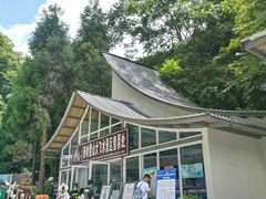 -西岭雪山大飞水景区