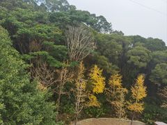-牛岗山公园