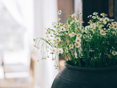 -MOJ coffee(瓯海泽雅水碓坑店)