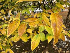 -白塘生态植物园