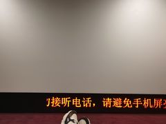 -UME影城(中国巨幕高新店)