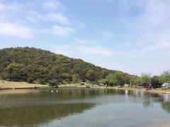 -龙寺生态园