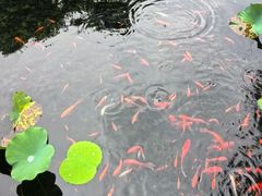 -东山雕花楼