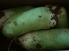 青萝卜-金旭菜市场