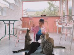 -喵屿·大理花园猫咖