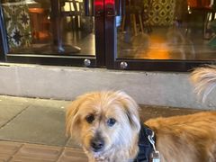 -Ginger(兴国路店)