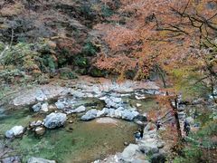-光雾山旅游景区