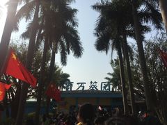 -百万葵园