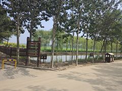 -西青郊野公园
