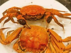 -东方红海鲜百汇(国际大厦店)